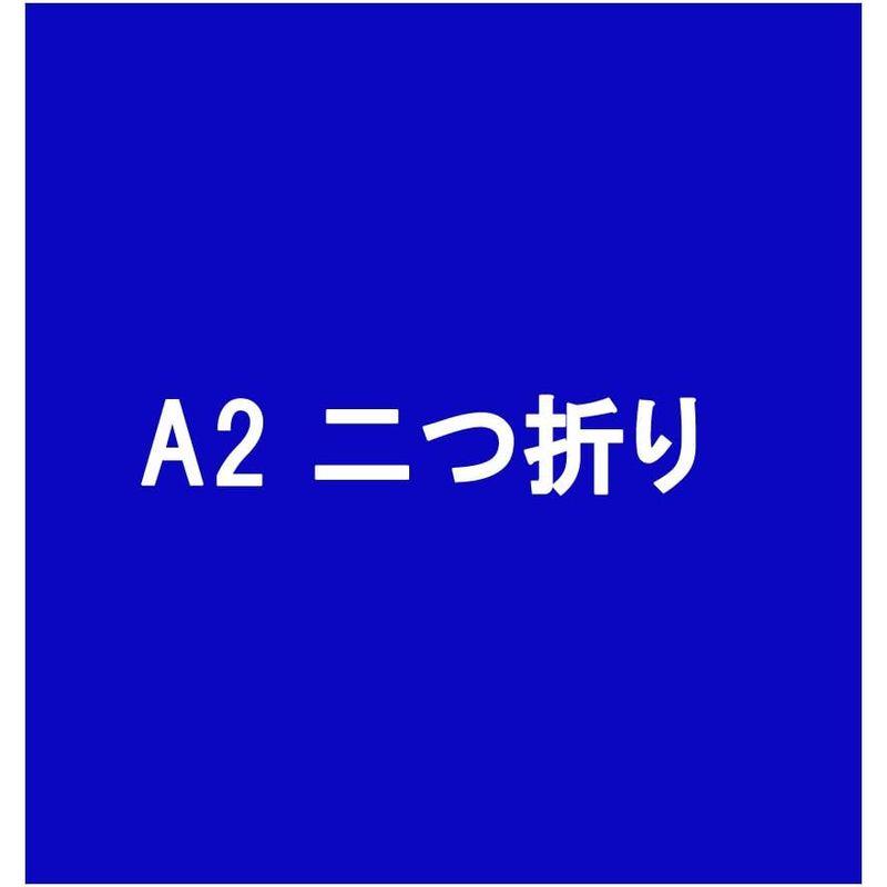 キングジム 図面ファイル ライト 3172N A2 2つ折