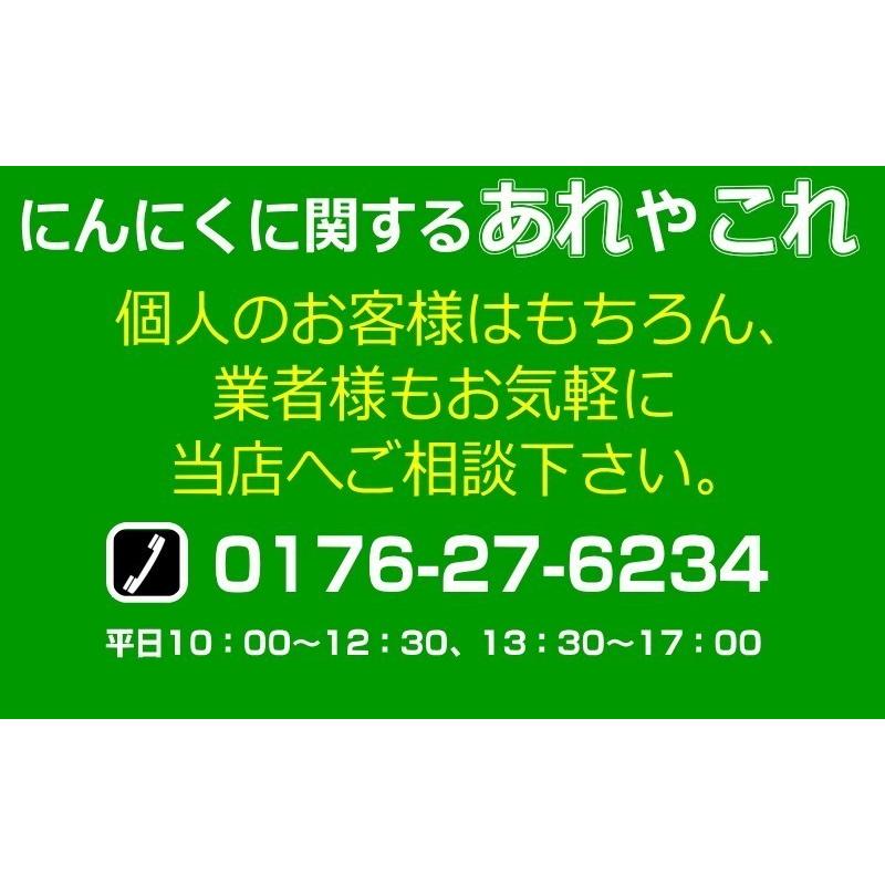 青森 にんにく 1kg 青森 訳あり Lサイズ厳選 C品 並級 国産 ニンニク 中国産と比べて