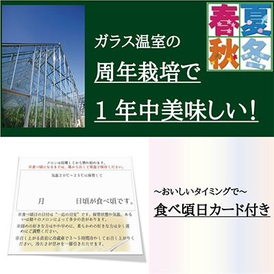 ふるさと納税 袋井市 クラウンメロン1玉〜ご家庭用に〜12ヵ月毎月お届け全12回