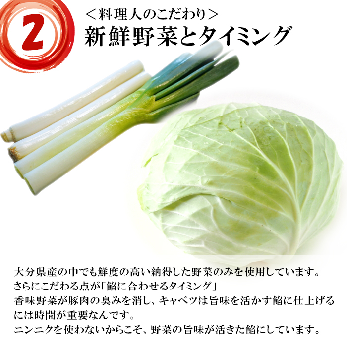 ゴロゴロ肉たっぷり 肉餃子 大興寺餃子 水餃子 冷凍 20個入 ニンニク不使用 大分県産 お取り寄せ 餃子 ぎょうざ