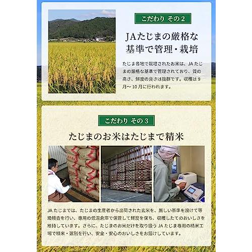 新米 令和5年産 兵庫県但馬産コシヒカリ 白米 10kg 5kg×2袋