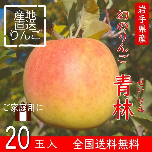 りんご　青林 20玉 送料無料 訳あり ご自宅用  岩手県産 産地直送