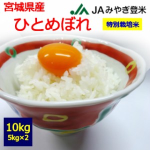 　宮城県産　ひとめぼれ　１０kg　 お取り寄せ　10キロ 　お米　登米市　JAみやぎ登米