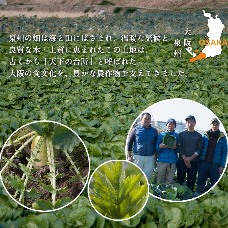 G939 旬の新鮮 野菜セット（15種以上）定期便 全6回 おまかせ ピクルスの素付き ファミリー向け