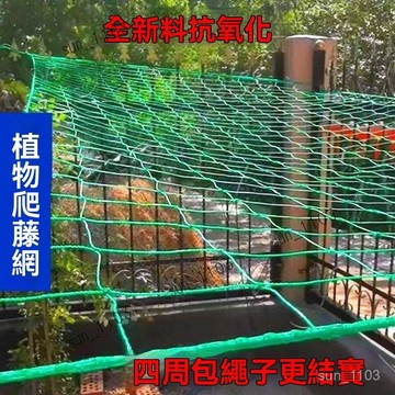 植物爬藤網 60股 90股 120股  養殖網 籃球網 樓梯陽臺露臺防護安全網 耐用 圍網 百香果爬藤網 攀爬網 藤蔓植