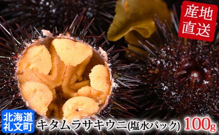 北海道 礼文島産 採れたて キタムラサキウニ 塩水パック 100g×1 生うに 生ウニ  塩水うに
