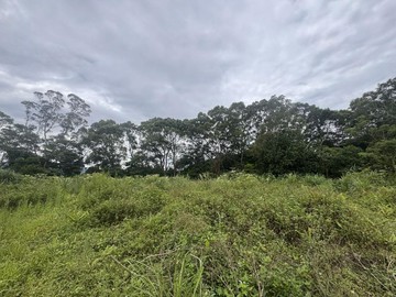 苗栗獅潭石門路八角林段露營區農牧用地+林地｜苗栗縣獅潭鄉八角林