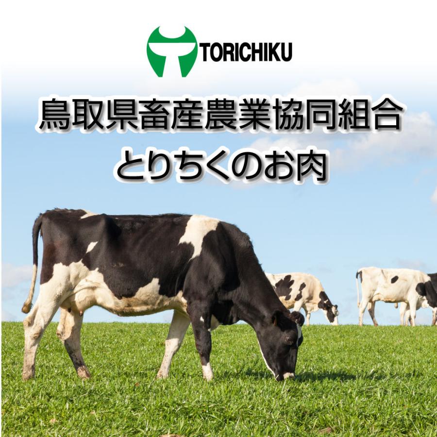 牛肉 ステーキ 国産 鳥取牛 ロースステーキ 600g (200g 3枚入) 鉄板焼き BQQ バーベキュー 鳥取県産 ギフト