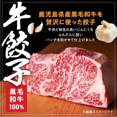 ふるさと納税 南九州市 黒黒餃子10個入り×3Pと黒毛和牛100%牛餃子12個入り×3Pセット