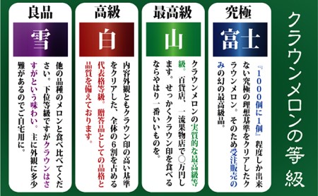 クラウンメロン 定期便 12ヶ月 特大玉 1玉 メロン 静岡 マスクメロン フルーツ 果物 デザート 12回