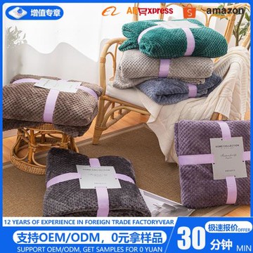 新款跨境外貿亞馬遜法蘭絨菠蘿格毛毯午休毛毯temu毛毯廠家直銷