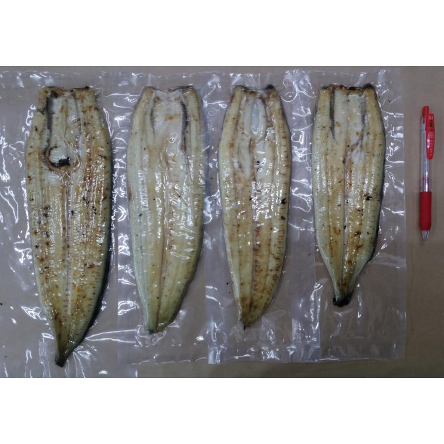 国産うなぎ白焼ギフト（約120g)３本箱入　愛知県三河産一色産