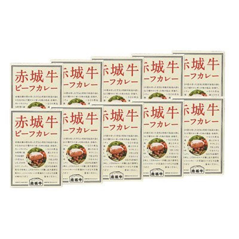 赤城牛ビーフカレー（中辛）〔200g×10・化粧箱入〕