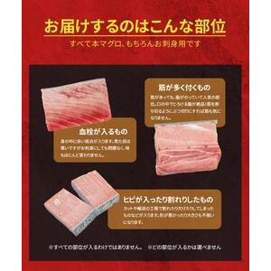 ふるさと納税 本マグロ訳あり中トロ700g！解凍レシピ付 福島県いわき市