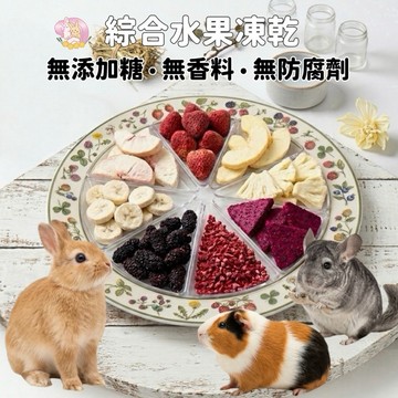 HW 小寵水果凍乾｜零添加 兔子天竺鼠龍貓零食 無糖果乾點心