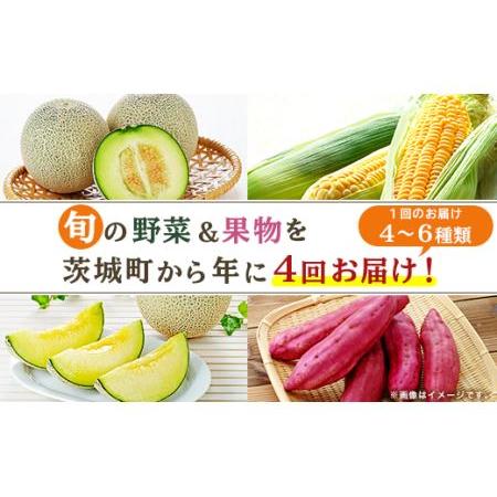 ふるさと納税 162茨城町産「旬の野菜果物」セット 茨城県茨城町