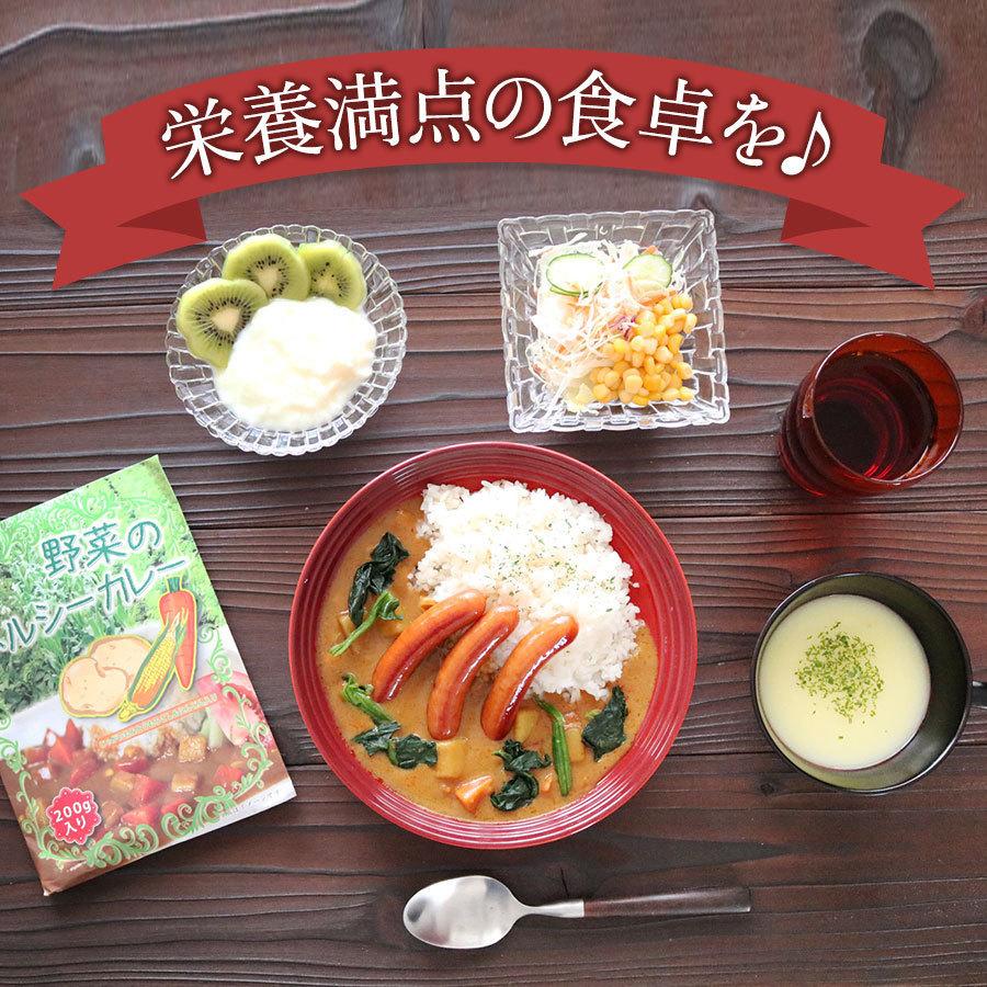 送料無料 野菜のヘルシーカレー 200g×2個 お手軽便