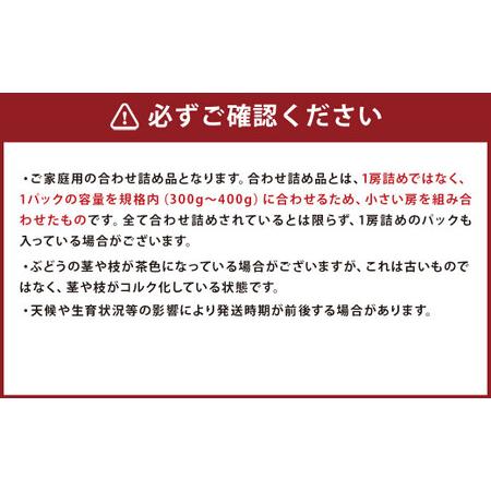 ふるさと納税 ご家庭用 旬のぶどう食べ比べ 完熟巨峰 シャインマスカット 詰め合わせ 計5パック 約1.5kg  長崎県時津町