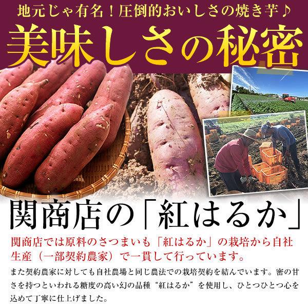 冷凍焼き芋 茨城 紅はるか 合計3kg(500g×6袋) 焼き芋 送料無料 焼いも やきいも やき芋 しっとり 無添加 無着色 茨城県 茨城県産 関商店 スミフル