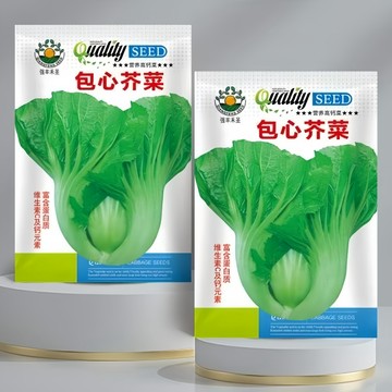 【現貨可開收據】大包裝 包心芥菜種子（約2500粒）長年菜大芥菜刈菜種子 客家大菜大葉芥菜醃菜材料 高產好種農家蔬菜種子