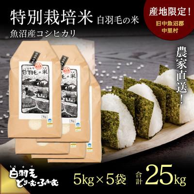 ふるさと納税 十日町市 令和5年産　農家直送!魚沼産こしひかり　特別栽培米「白羽毛の米」精米5kg×5袋