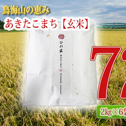 《定期便》12kg×6ヶ月 秋田県産 あきたこまち 玄米 2kg×6袋 神宿る里の米「ひの米」（お米 小分け）