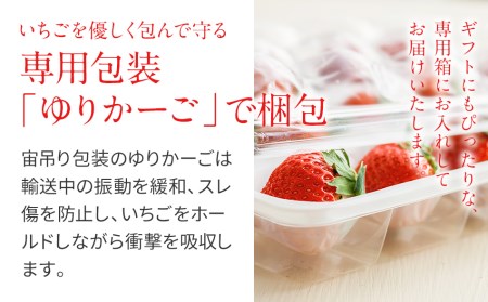 福岡県田川市産 あまおう 8or9入り×4パックイチゴ いちご 苺 贈答にも