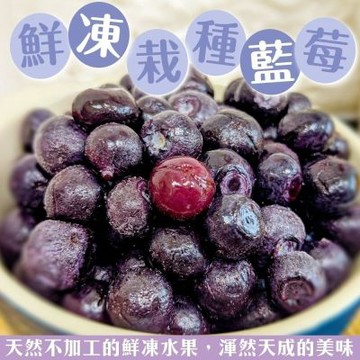 【天天果園】冷凍美國/智利栽種藍莓家庭包2包(每包約1kg)
