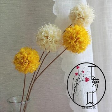 【八角繡球花】天然干花裝飾花繡球花客廳花藝擺放插花手工干花1入