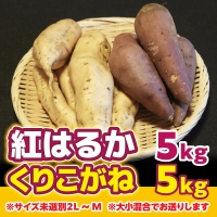 YX003 （土付き）福岡篠栗町産の熟成紅白さつまいも「紅はるか」５kg「くりこがね」５kgセット 2023年10月中旬より順次発送