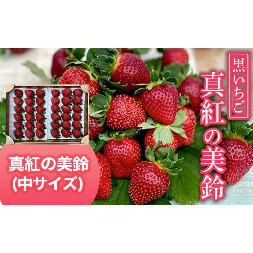 ふるさと納税 千葉県 大網白里市 黒いちご・真紅の美鈴（中サイズ） ふるさと納税 いちご 苺 イチゴ 千葉 大網白里市 送料無料 AB003