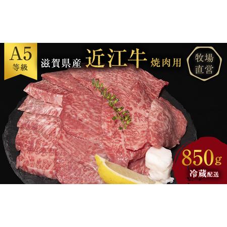 ふるさと納税 A5ランク雌牛 焼肉用 約850g （モモ・カタ・ウデ・バラ系等） 滋賀県豊郷町