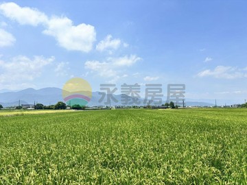 三星二萬五大面寬足坪農地｜宜蘭縣三星鄉二萬五段