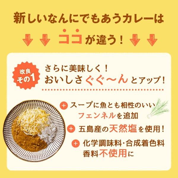 五島の鯛で出汁をとったなんにでもあうカレー（チーズ）30袋セット　送料無料