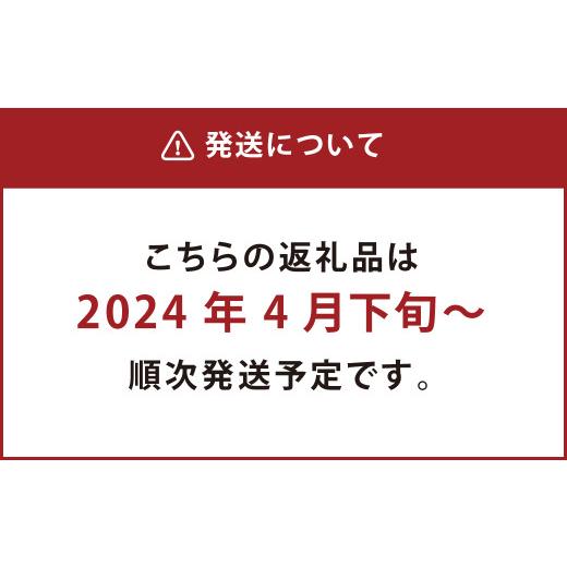 ふるさと納税 熊本県 熊本市 熊本産 肥後グリーンメロン 2玉入り メロン 果物 フルーツ