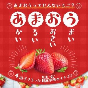 ふるさと納税 あまおう 約270g 4パック×3回 計12パック_Fi301_定期便 3回 いちご あまおう 約270g×4パック × 3.. 福岡県久留米市