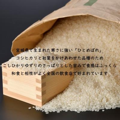 ふるさと納税 村田町 令和5年産 ひとめぼれ 玄米10kg 宮城県村田町産