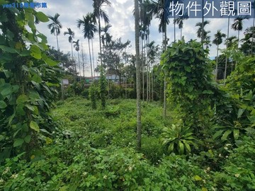✨近中台禪寺｜湧泉不斷｜山間農+建地✨｜南投縣埔里鎮三條崙段