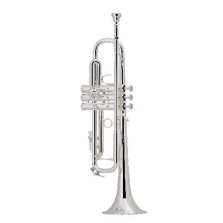 Bach Trombone, red (LR180S37) 並行輸入品