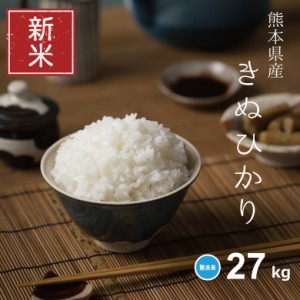 新米 米 お米 27kg キヌヒカリ 無洗米 熊本県産 令和5年産 30kg きぬひかり こめたつ