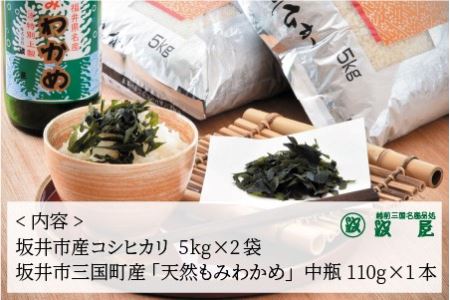 坂井市産コシヒカリ 10kg と もみわかめ中瓶セット [C-1710]