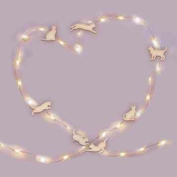 跳躍貓咪星空掛線燈+萬用木卡片