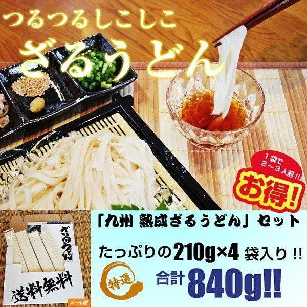 ざるうどん　お取り寄せ　九州ざる饂飩　210g×4袋　たっぷり　約8人前 セット 平打ち麺　つるつるモチモチ食感　熟成うどん麺　お試しグルメギフト