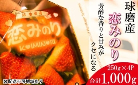 いちご 先行予約 錦町産 イチゴ 恋みのり 約250g×4P 3L サイズ 2023年12月上旬より順次発送 配送不可 離島