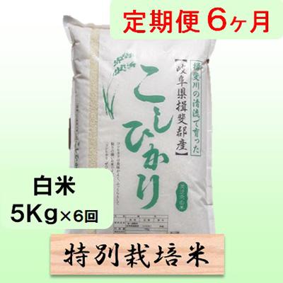 ふるさと納税 池田町 6ヶ月特別栽培米5kg(コシヒカリ)全6回