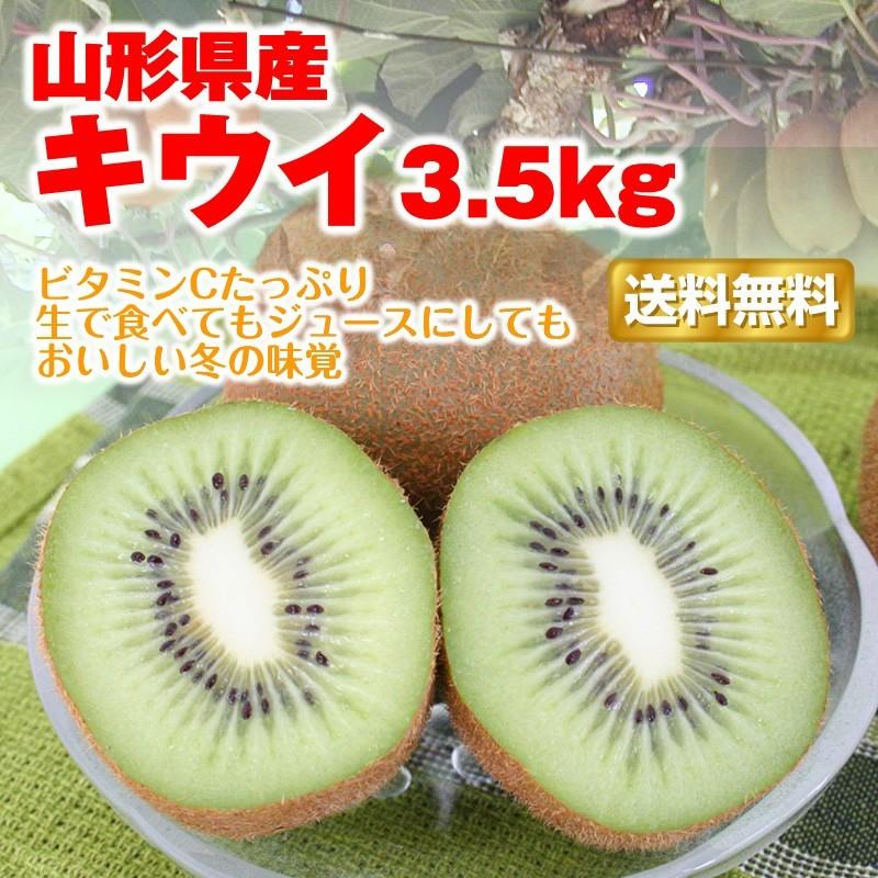 キウイ フルーツ 送料無料 山形県産 約3.5kg（24-33玉)