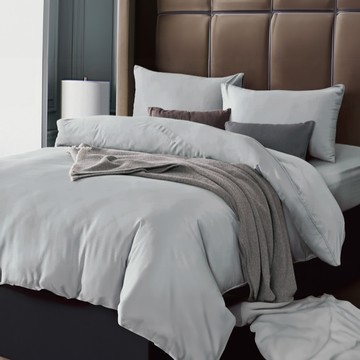 Prawear 巴麗維亞 50%天絲素色雙人加大兩用被床包組-星光灰 親膚透氣吸濕排汗  1入