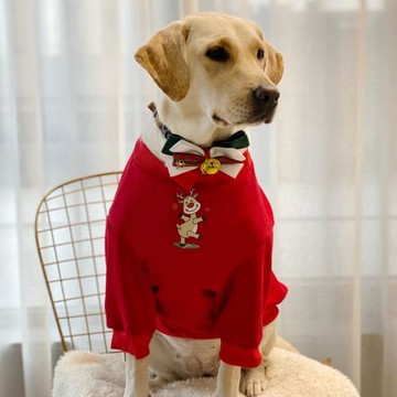 狗狗衣服大型犬新年拉布拉多虎年衣服金毛冬保暖喜慶衣服狗狗衣服