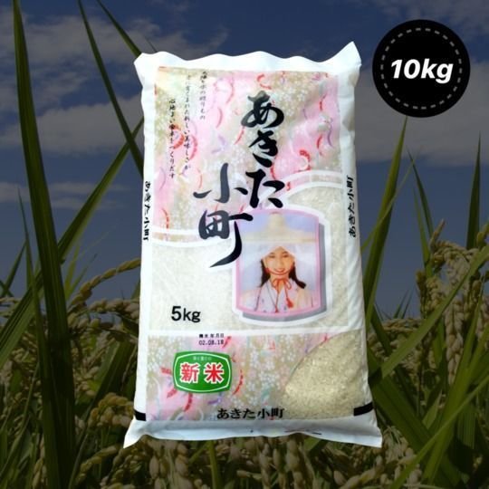 令和3年産　茨城県産あきたこまち10kg（5kg×2袋）