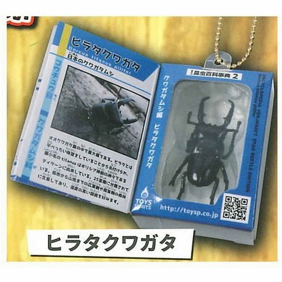 クワガタおもちゃの通販 290件の検索結果 Lineショッピング